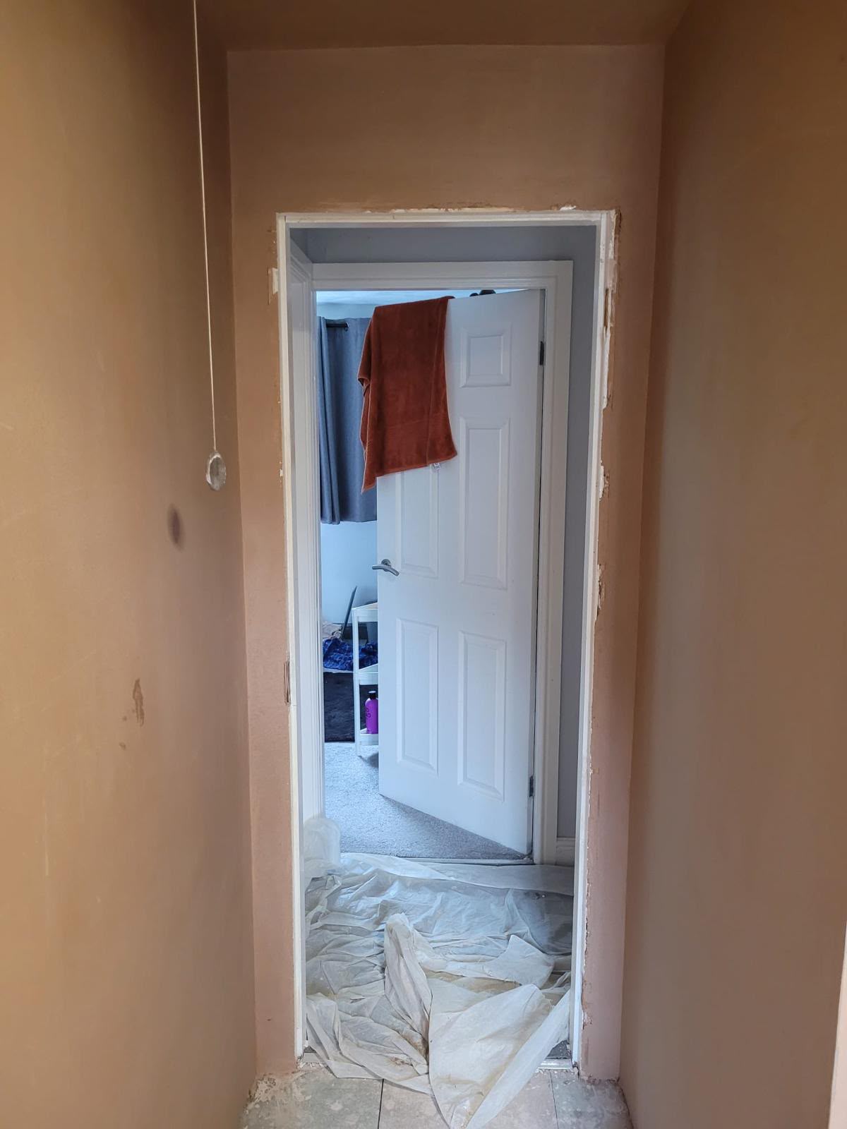 Plastered hallway and door